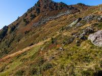Österreich - Karspitze - Bächlein unter der Karspitze